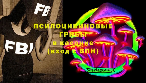 стафф Киров