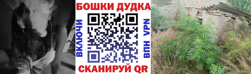 Канабис гибрид  кракен ссылки  Димитровград 
